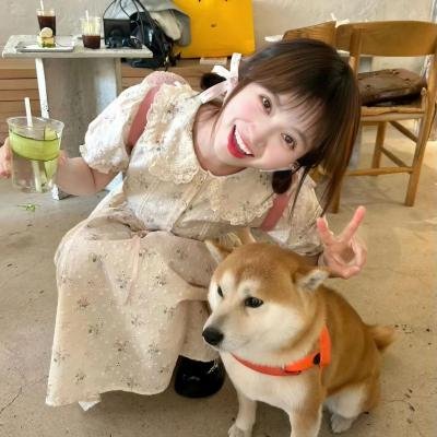 成年人的谎言生活海报